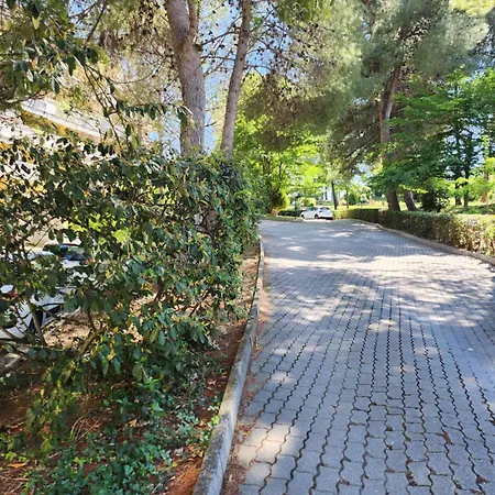 Contorpark *
